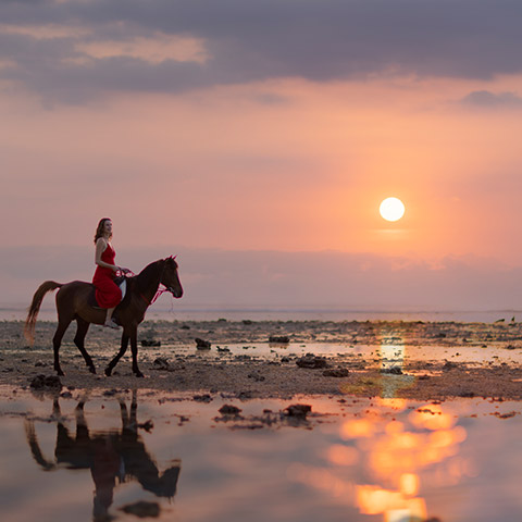 Bali Horse Riding