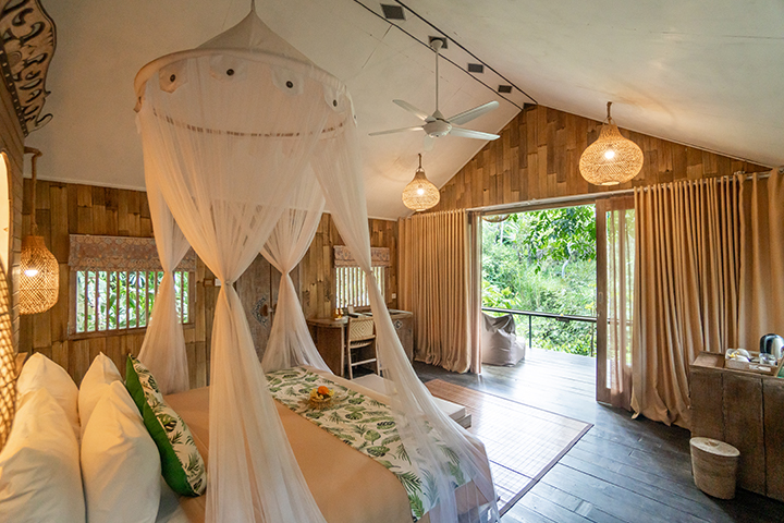 Suite Jungle Lodge