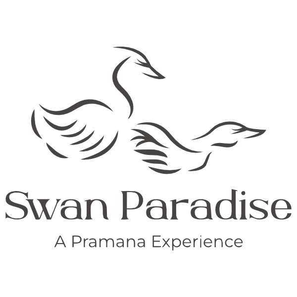 Swan Paradise A Pramana Experience