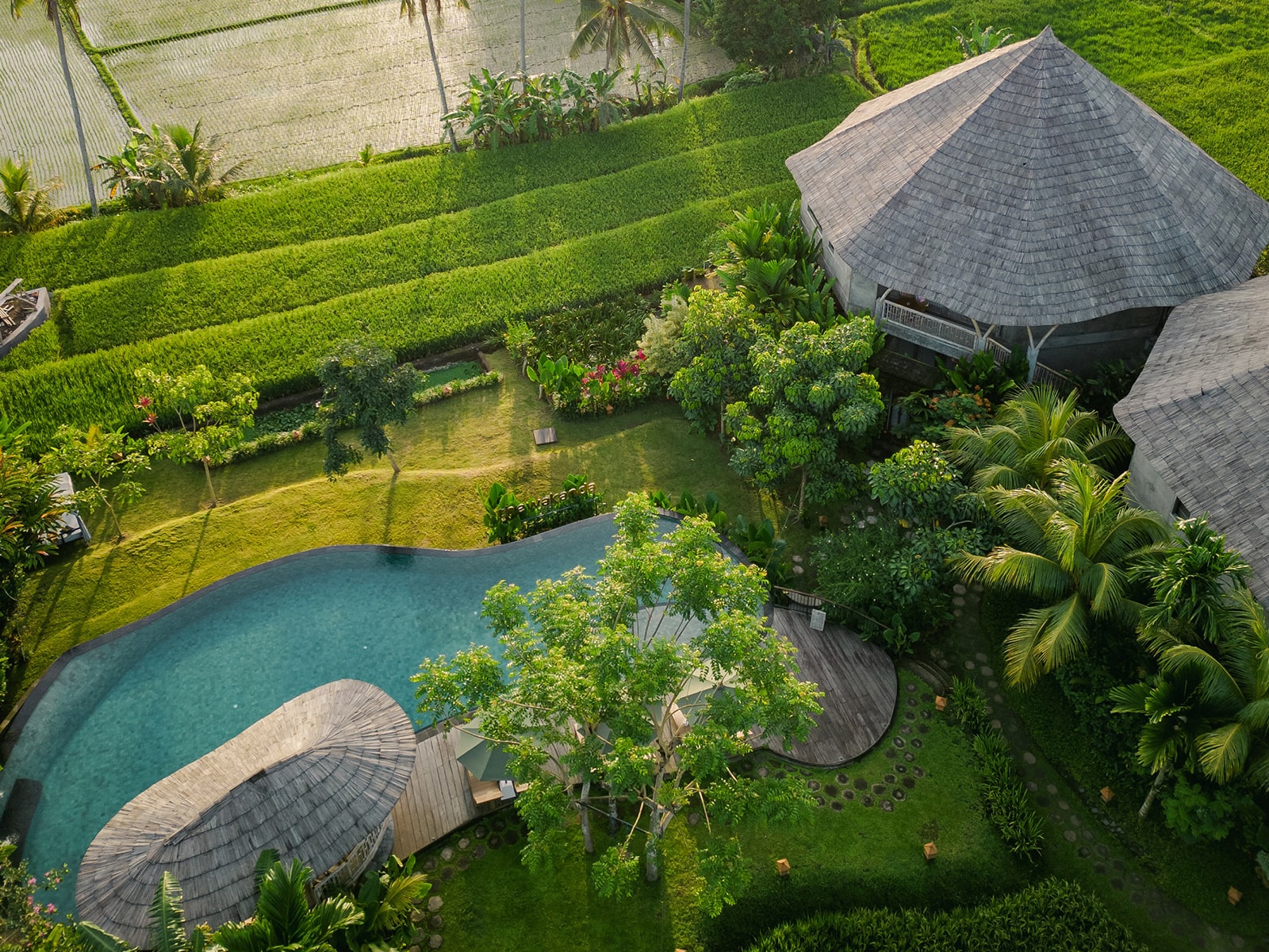 Thewakanda A Pramana Experience