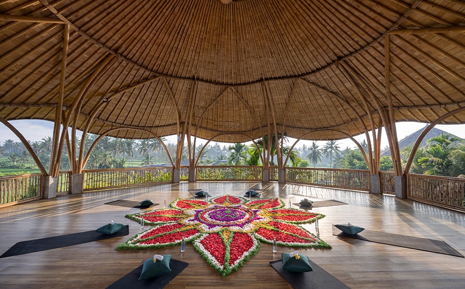 Yoga Sala