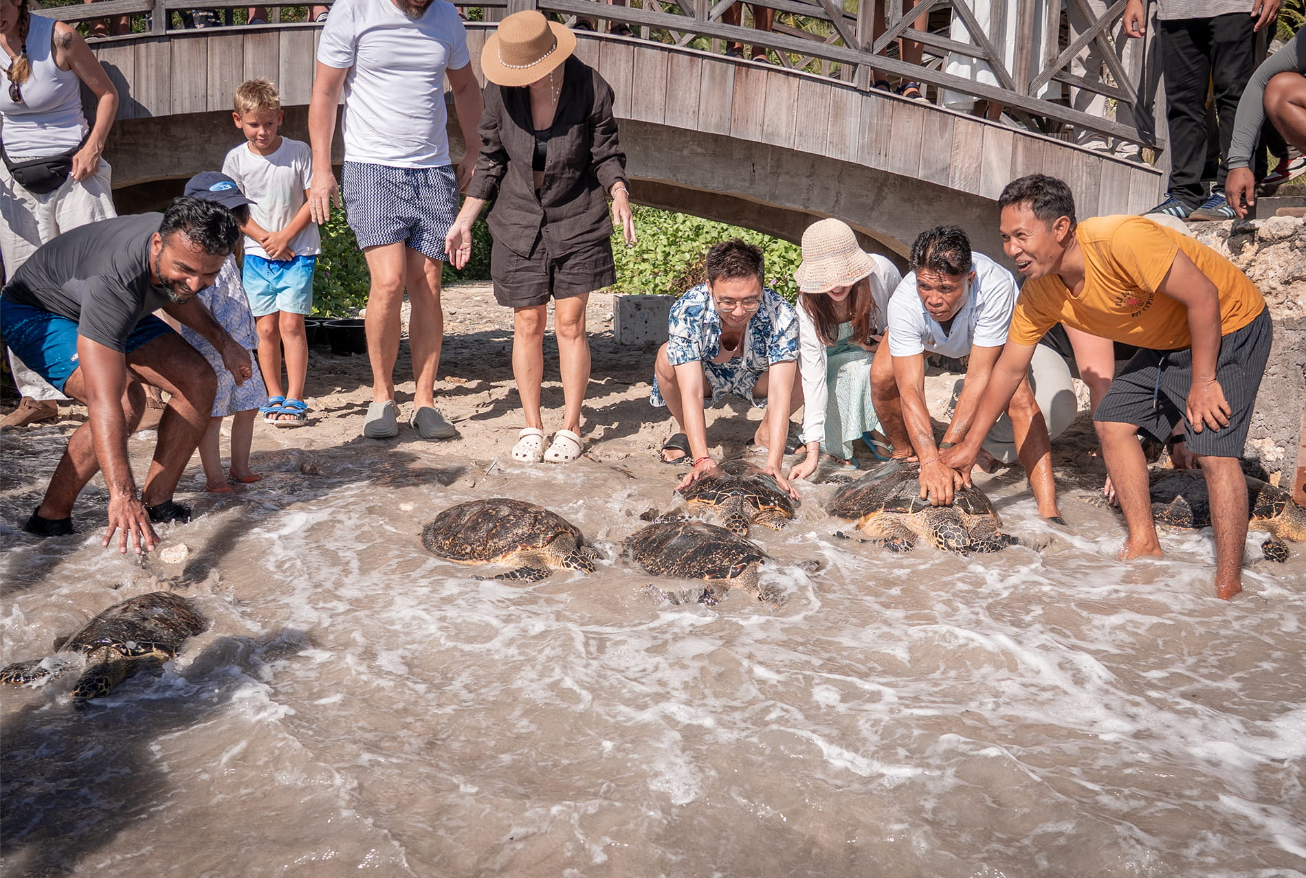 Seven Dreams A Pramana Experience Celebrates Its 1st Anniversary with a Commitment to Sustainability